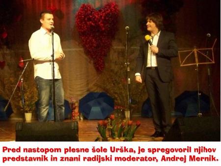 8. tradicionalni Valentinov koncert 2014 14